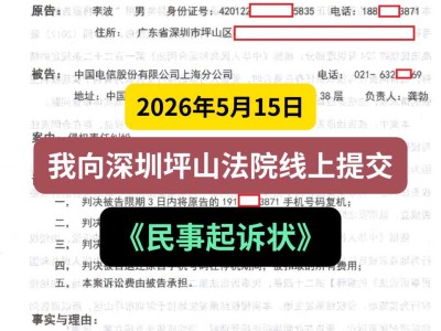 2025年5月15日，我向深圳坪山法院线上提交《民事起诉状》