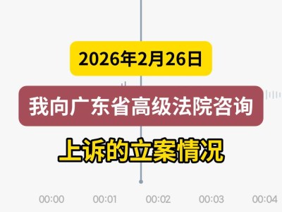 2024年2月26日，我向广东省高级法院咨询上诉的立案情况