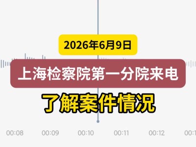 2026年6月9日，上海检察院第一分院来电，了解案件情况（有视频）