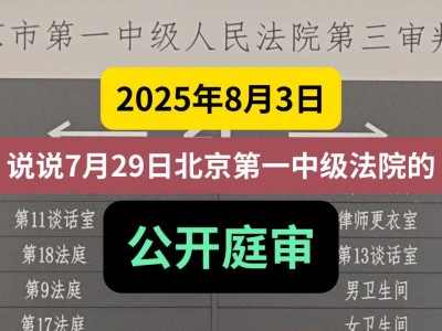 2025年8月3日,说说7月29日北京第一中级法院的公开庭审