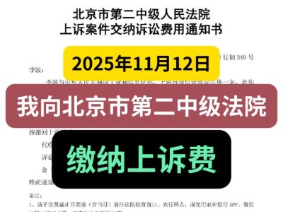 2025年11月12日，我向北京市第二中级法院缴纳上诉费