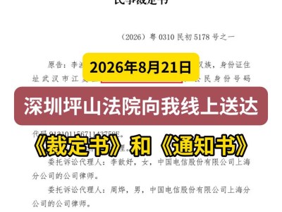 2026年8月21日，深圳坪山法院向我线上送达《裁定书》和《通知书》