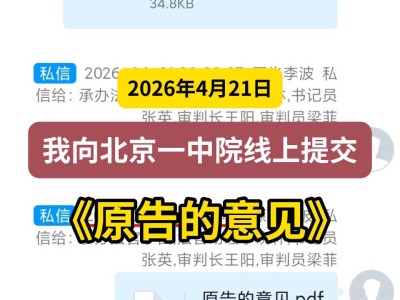 2026年4月21日，我向北京一中院线上提交《原告的意见》