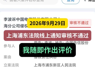 2026年9月29日，上海浦东法院线上通知审核不通过，我随即作出评价